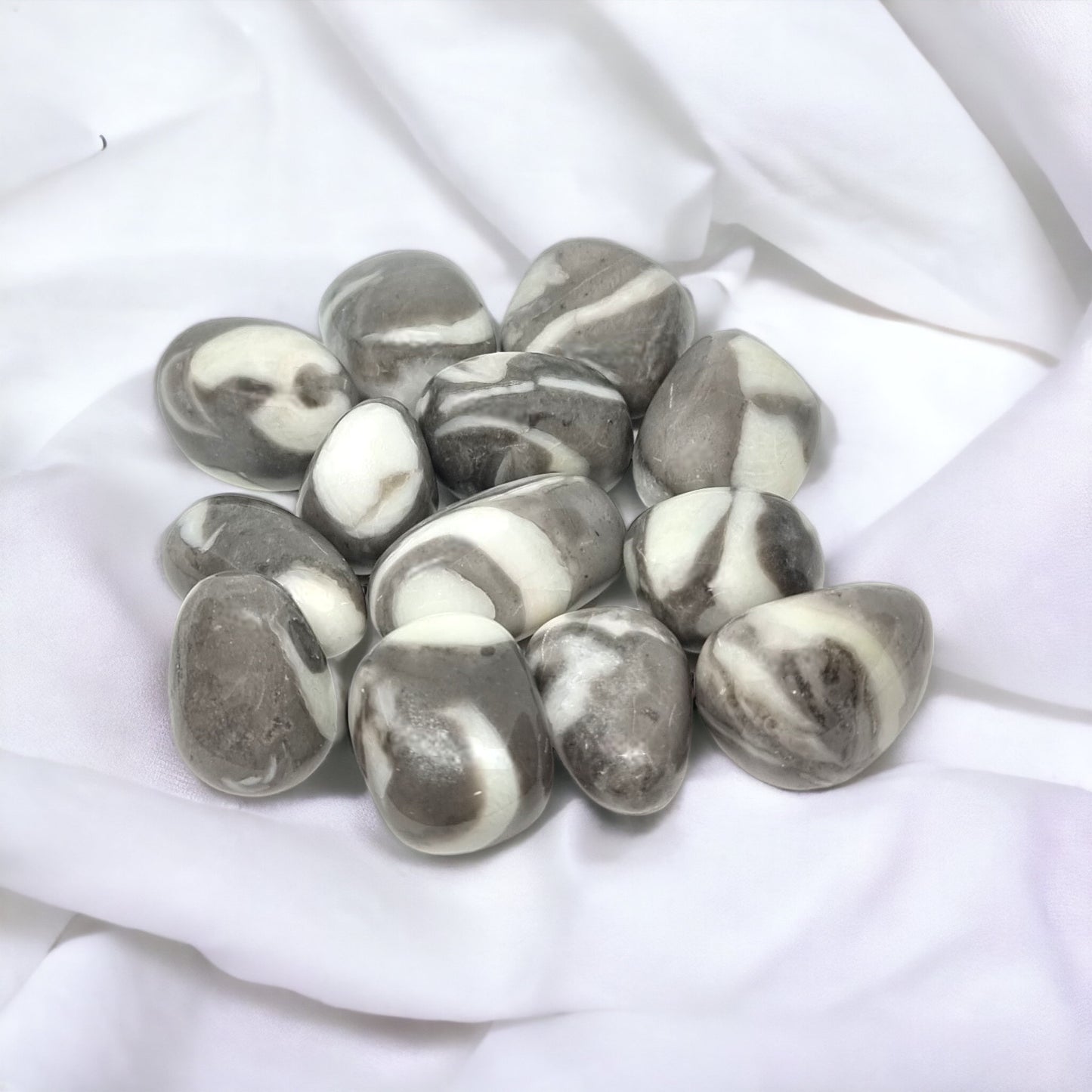 Shell Jasper Tumbles for grounding, stability, and emotional healing | Buy Shell Jasper crystals in Australia for balance and peace