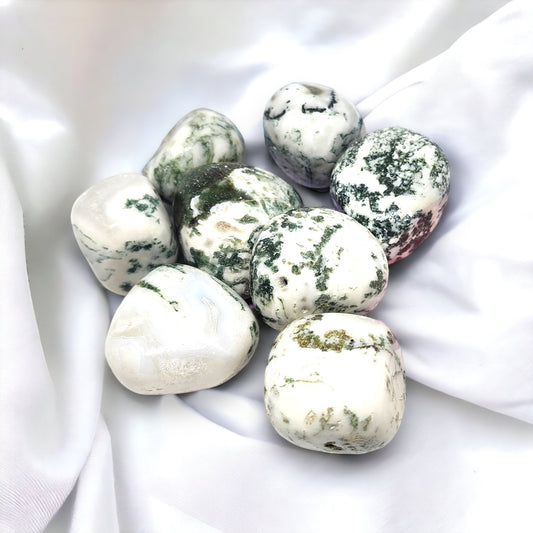 Tree Agate Tumble Stone for Healing and Abundance | Buy Tree Agate Crystals Online in Australia for Grounding and Growth