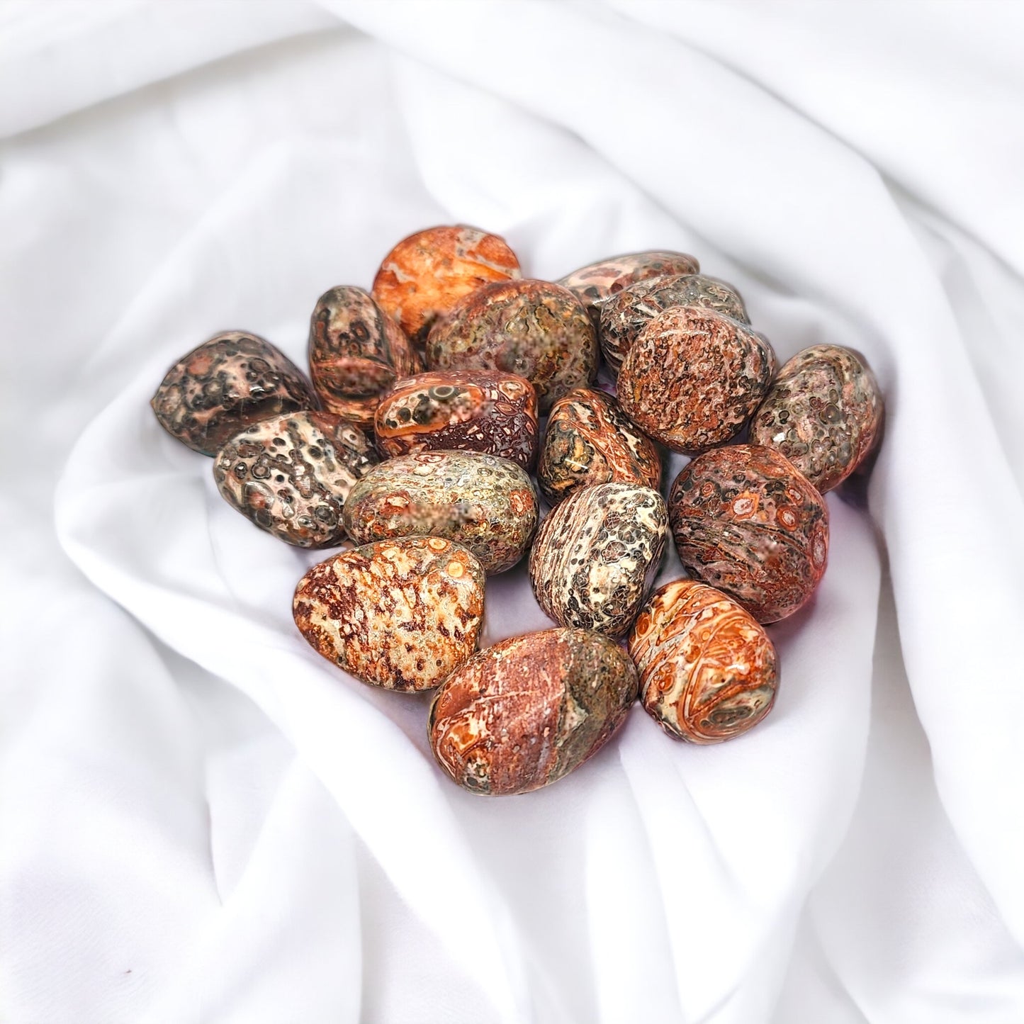 Leopard Skin Jasper tumble crystal for grounding, healing, and transformation | Buy Leopard Skin Jasper crystals online Australia
