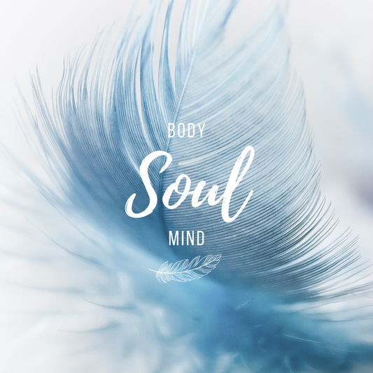 Body Mind Soul Meditation