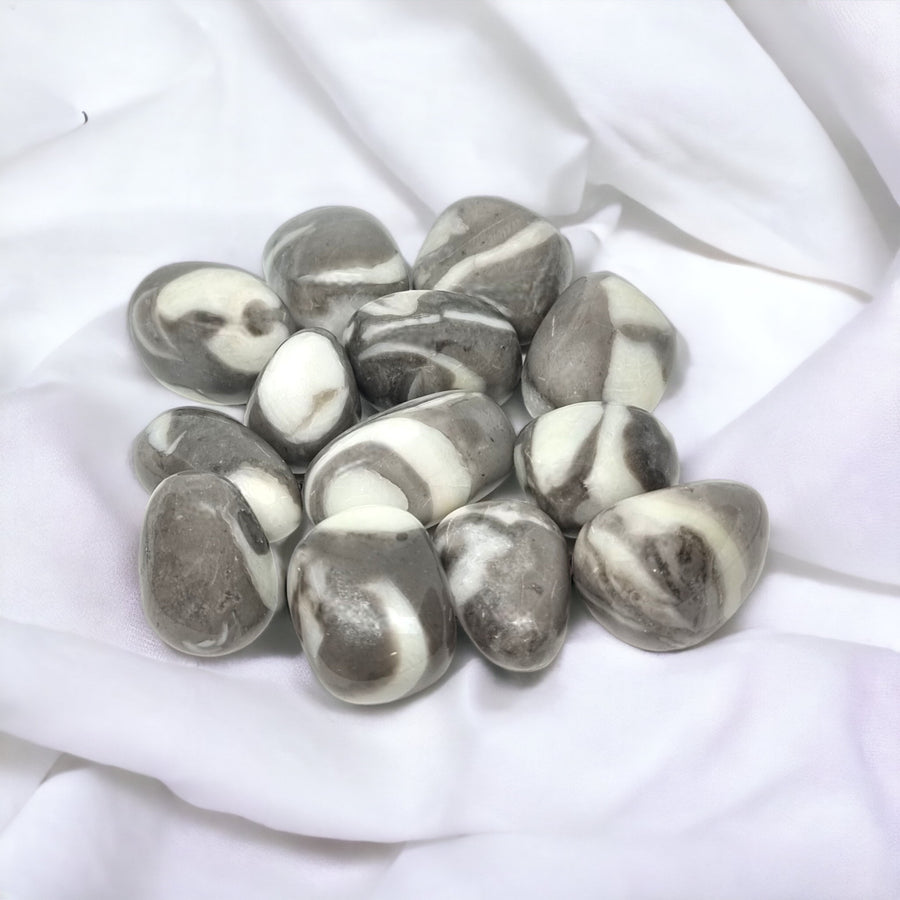 Shell Jasper Tumbles for grounding, stability, and emotional healing | Buy Shell Jasper crystals in Australia for balance and peace