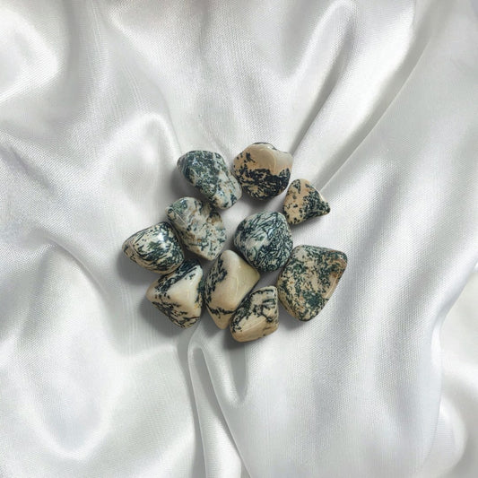 Tree Agate Tumble